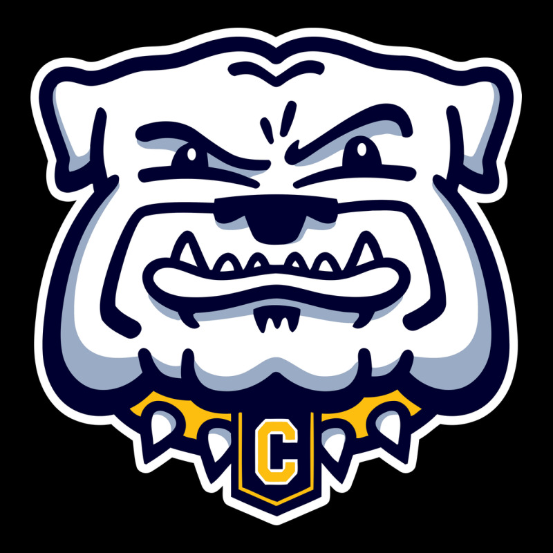 Chelse Bulldogs Urban Heavy Tee by linhVisuals | Teevron