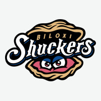 Biloxi Shuckers Urban Heavy Tee | Teevron