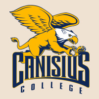 Canisius Golden Griffins Urban Heavy Tee | Teevron
