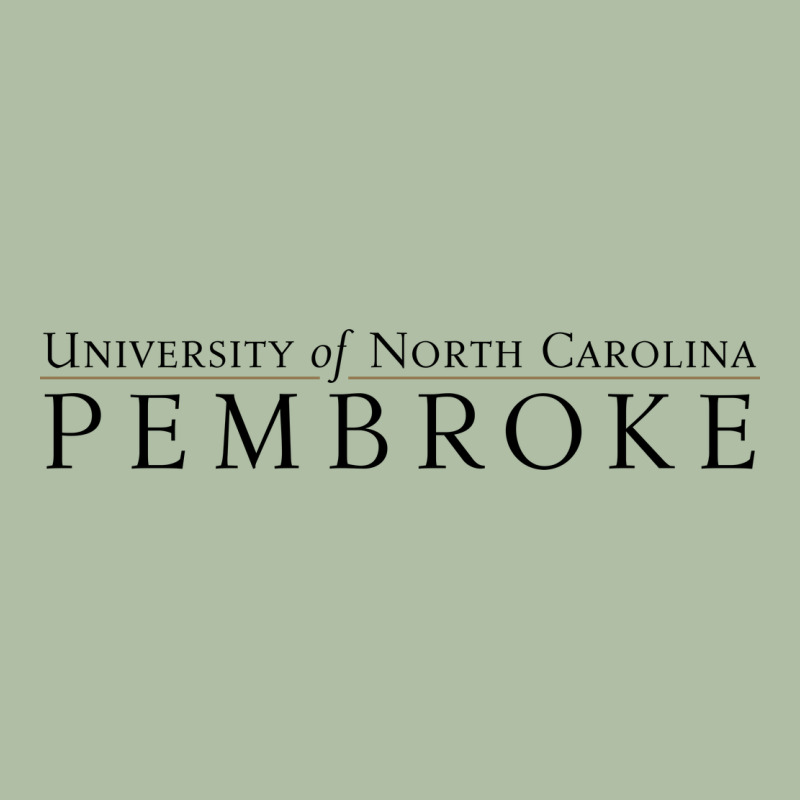 University Of North Carolin Pembroke Urban Heavy Tee by linhVisuals | Teevron