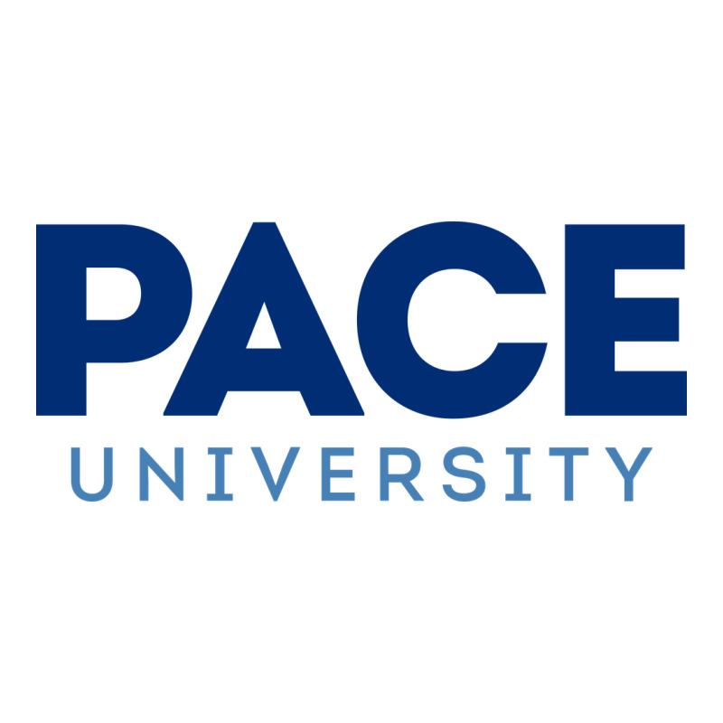 Pace University Urban Heavy Tee by linhVisuals | Teevron