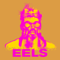 Eels Artist Müsïc Urban Heavy Tee | Teevron