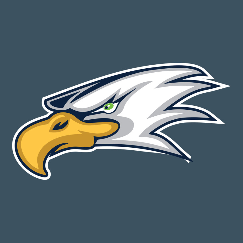 Eagle High School Urban Heavy Tee by linhVisuals | Teevron