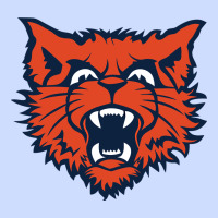 Evanston Township High School Urban Heavy Tee | Teevron