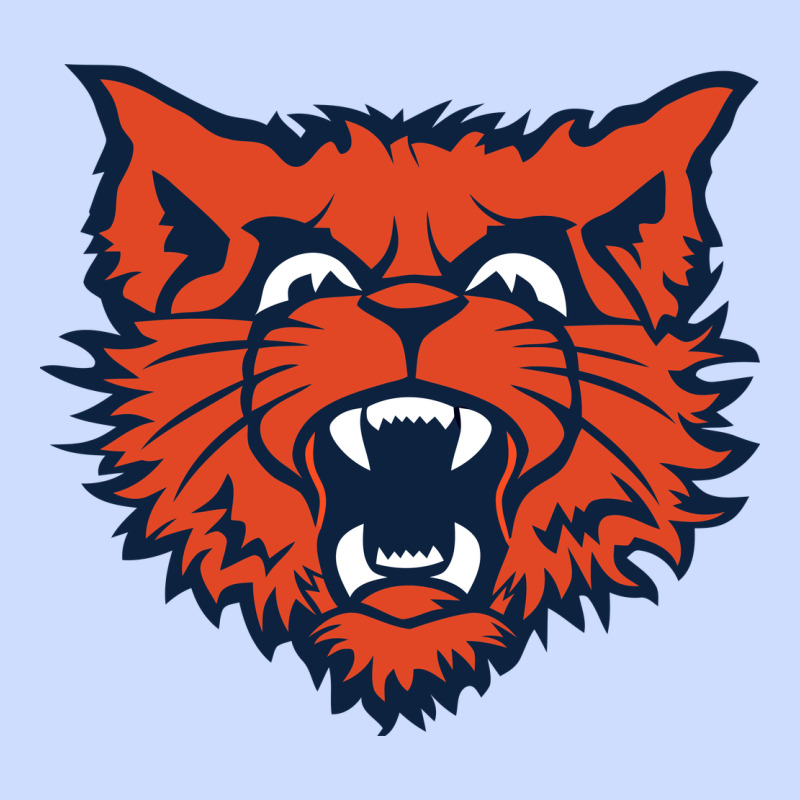 Evanston Township High School Urban Heavy Tee by linhVisuals | Teevron