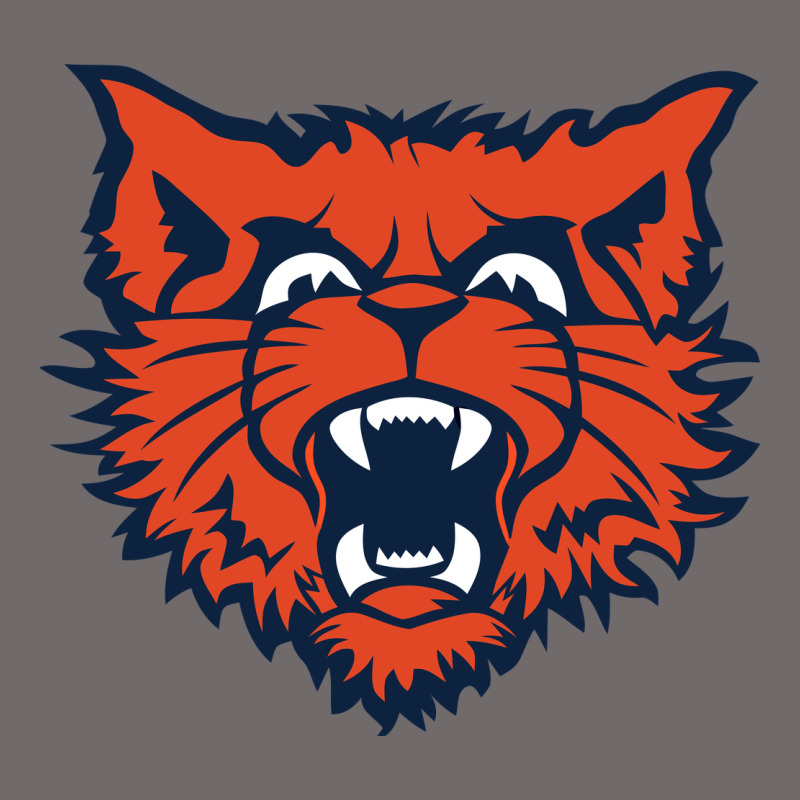 Evanston Township High School Urban Heavy Tee by linhVisuals | Teevron