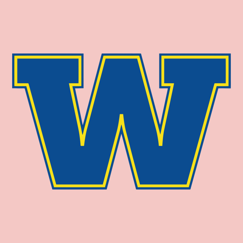 Wooster High School Urban Heavy Tee by linhVisuals | Teevron