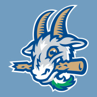 Hartford-yard-goats Urban Heavy Tee | Teevron