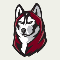 Bloomsburg Huskies Urban Heavy Tee | Teevron