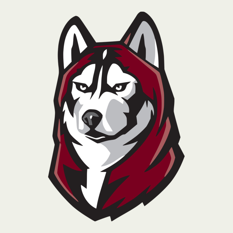 Bloomsburg Huskies Urban Heavy Tee by linhVisuals | Teevron