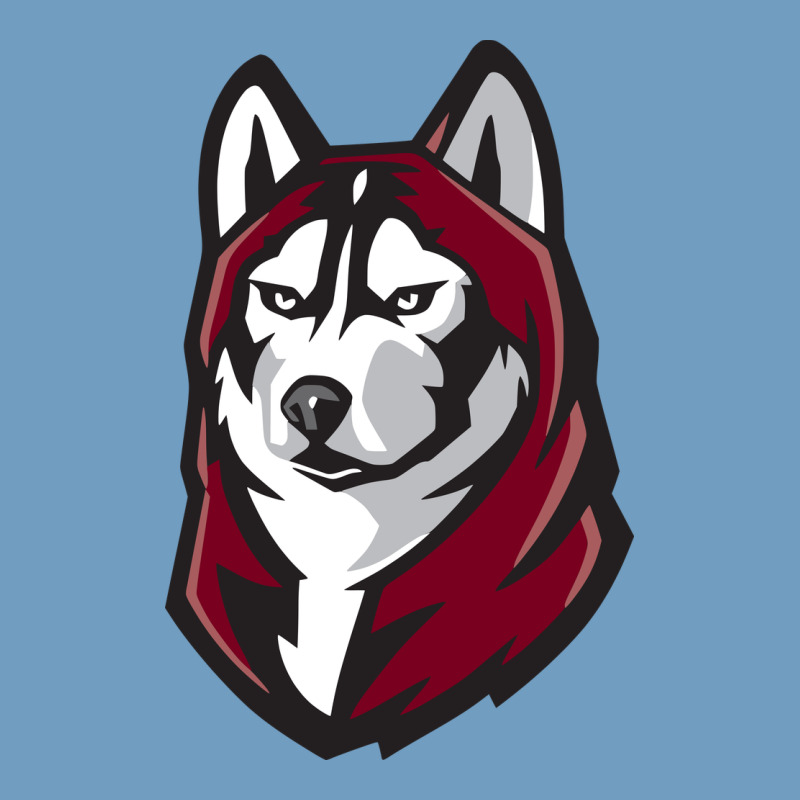 Bloomsburg Huskies Urban Heavy Tee by linhVisuals | Teevron