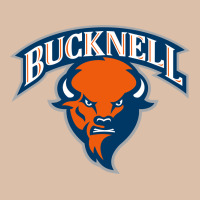 Bucknell Urban Heavy Tee | Teevron