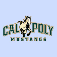 Cal Poly Urban Heavy Tee | Teevron