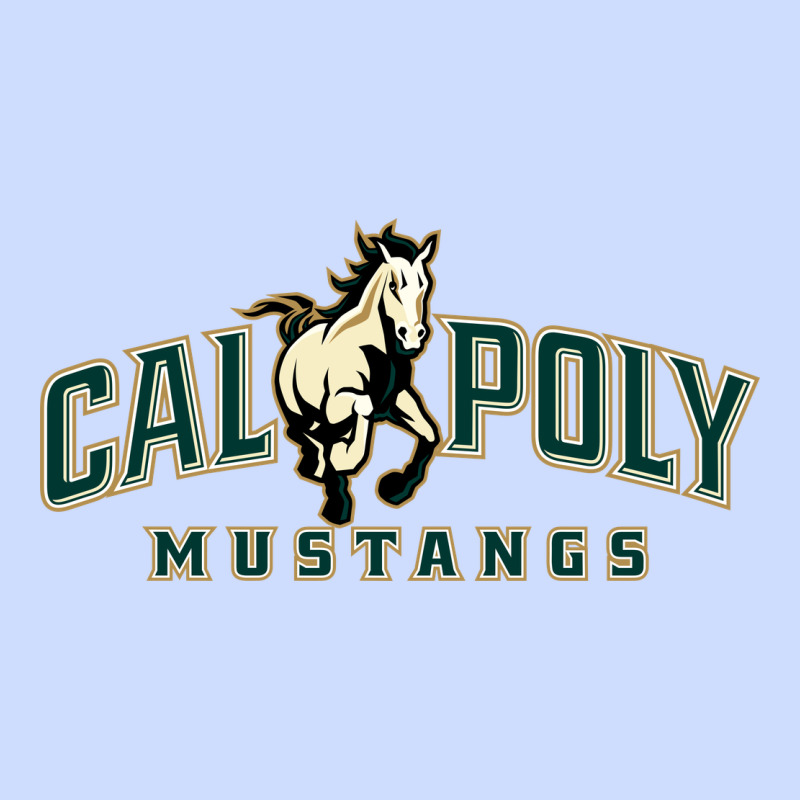 Cal Poly Urban Heavy Tee by linhVisuals | Teevron