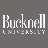 Bucknell University Urban Heavy Tee | Teevron