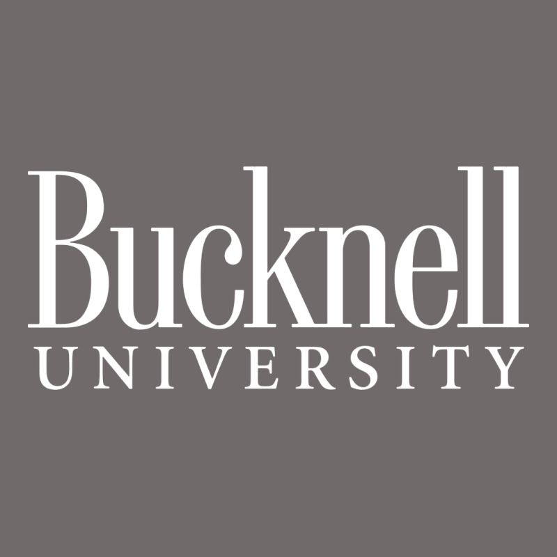 Bucknell University Urban Heavy Tee by linhVisuals | Teevron