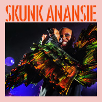 Skunk Anansie Urban Heavy Tee | Teevron