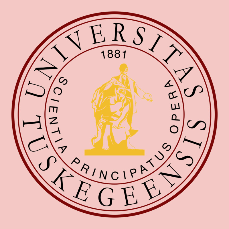 Tuskegee University Urban Heavy Tee by linhVisuals | Teevron