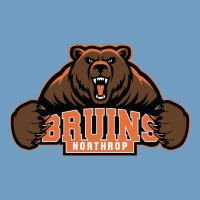 Northrop High School Urban Heavy Tee | Teevron