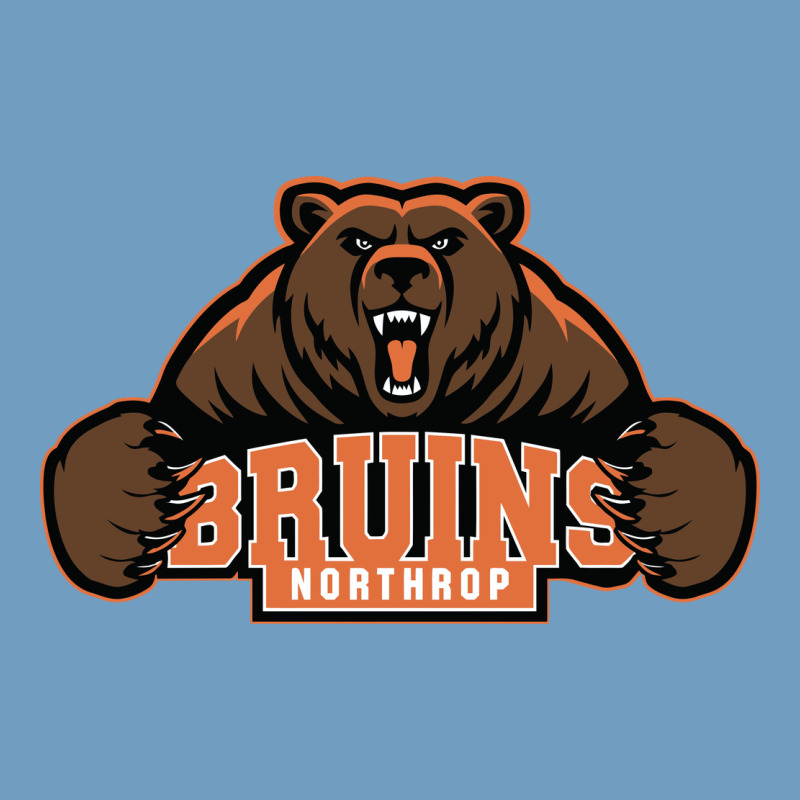 Northrop High School Urban Heavy Tee by linhVisuals | Teevron