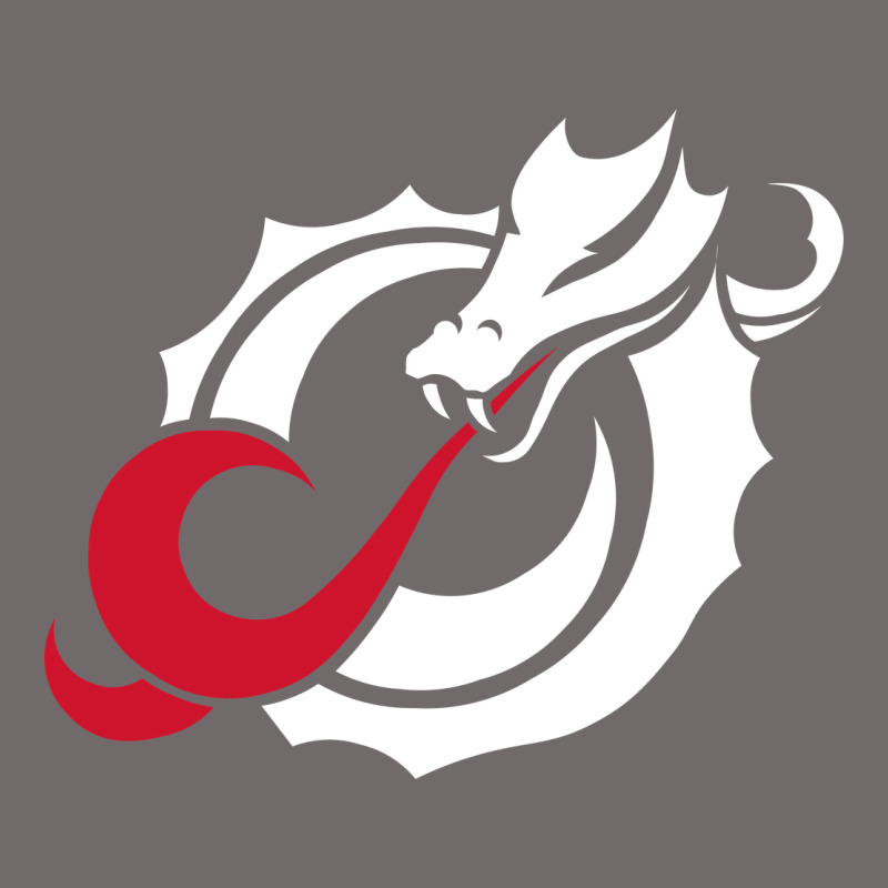 Msum Dragons, Gear Urban Heavy Tee by linhVisuals | Teevron