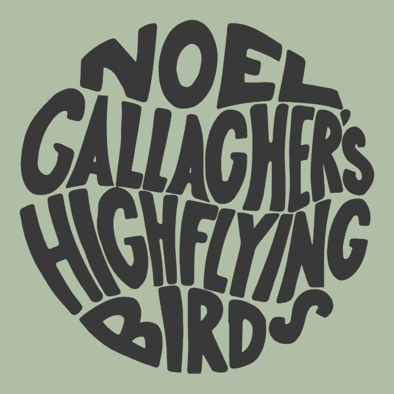 Noel Gallagher's High Flying Birds Classic Urban Heavy Tee by linhVisuals | Teevron