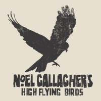 Noel Gallagher's High Flying Birds Classic Urban Heavy Tee | Teevron