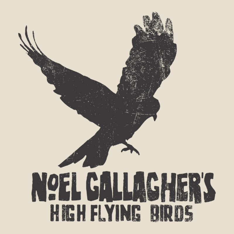 Noel Gallagher's High Flying Birds Classic Urban Heavy Tee by linhVisuals | Teevron