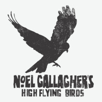 Noel Gallagher's High Flying Birds Classic Urban Heavy Tee | Teevron