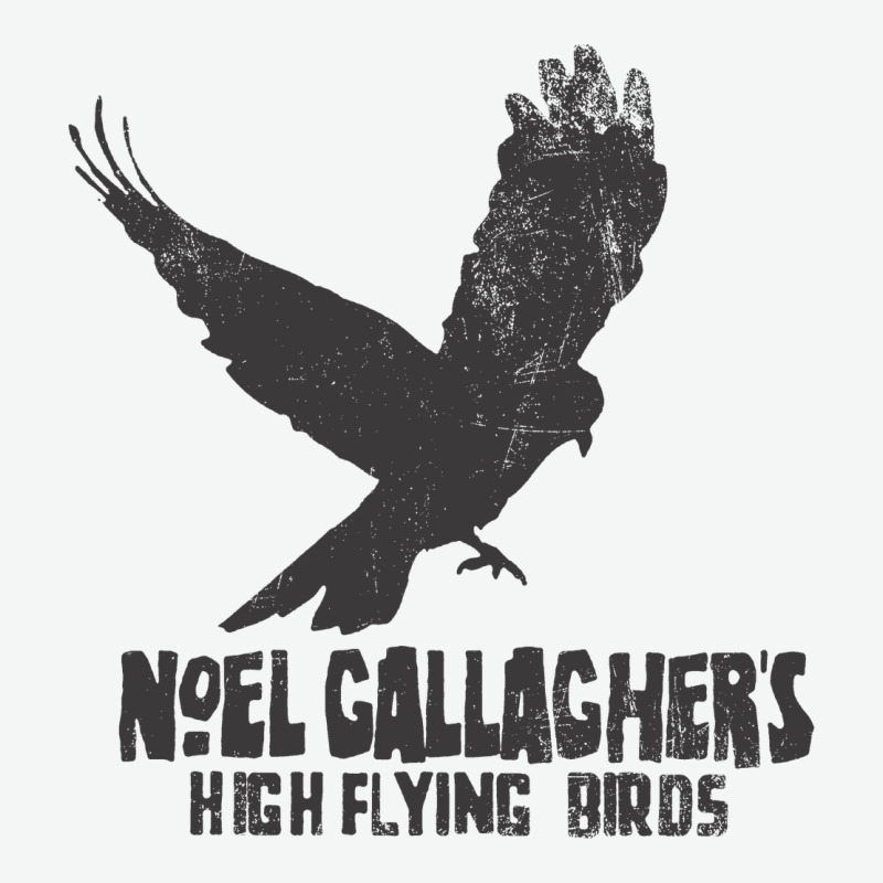 Noel Gallagher's High Flying Birds Classic Urban Heavy Tee by linhVisuals | Teevron