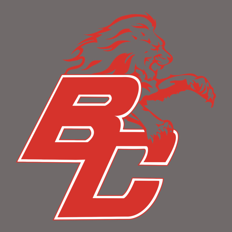 Boyd County High School Baseball Urban Heavy Tee by linhVisuals | Teevron