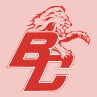 Boyd County High School Baseball Urban Heavy Tee | Teevron