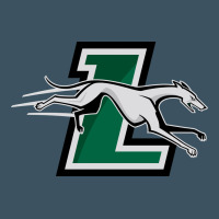 Loyola (md) Greyhounds Urban Heavy Tee | Teevron