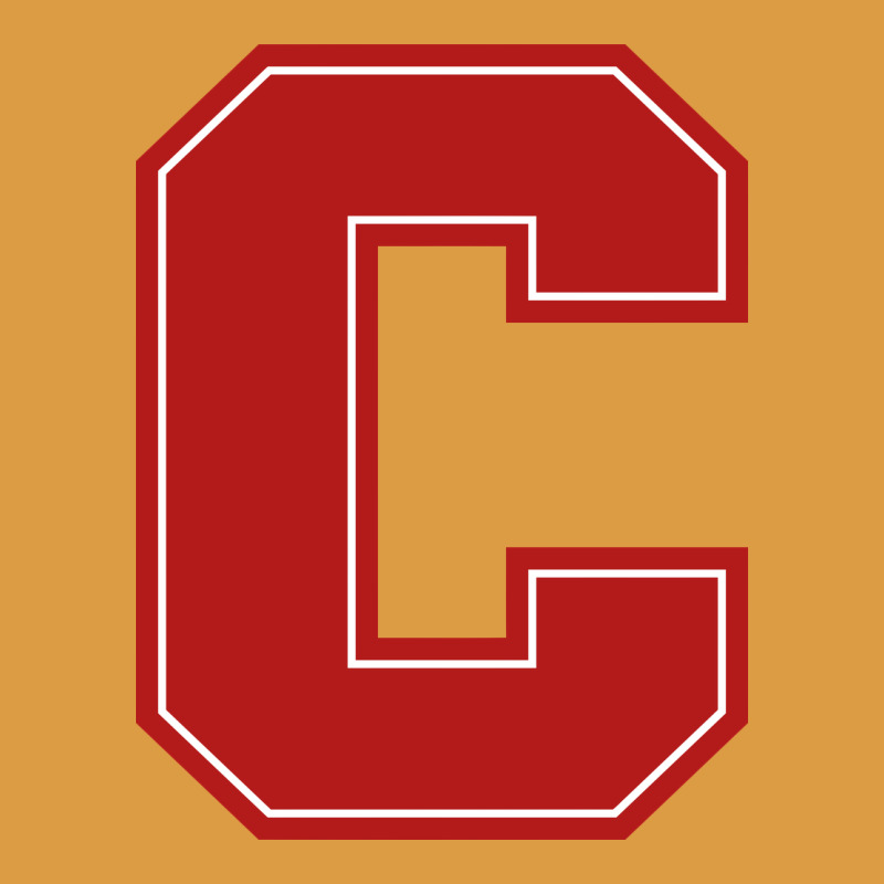 Cornell Big Red Urban Heavy Tee by linhVisuals | Teevron
