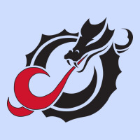 Msum Dragons, Gear Urban Heavy Tee | Teevron