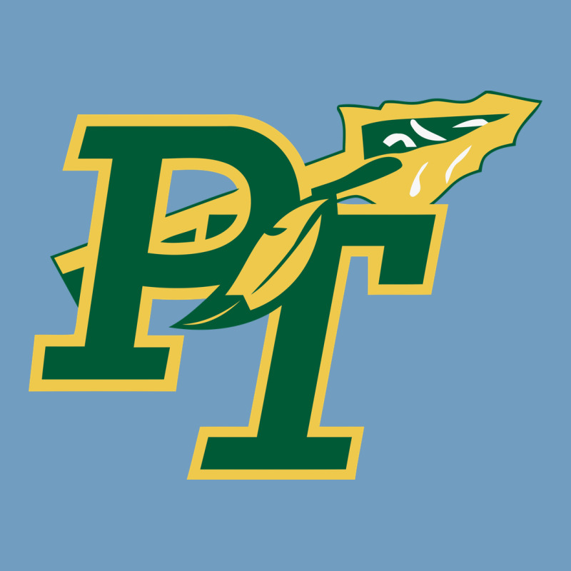 Penn Trafford School District Urban Heavy Tee by linhVisuals | Teevron