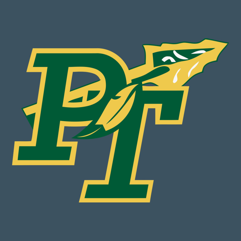 Penn Trafford School District Urban Heavy Tee by linhVisuals | Teevron