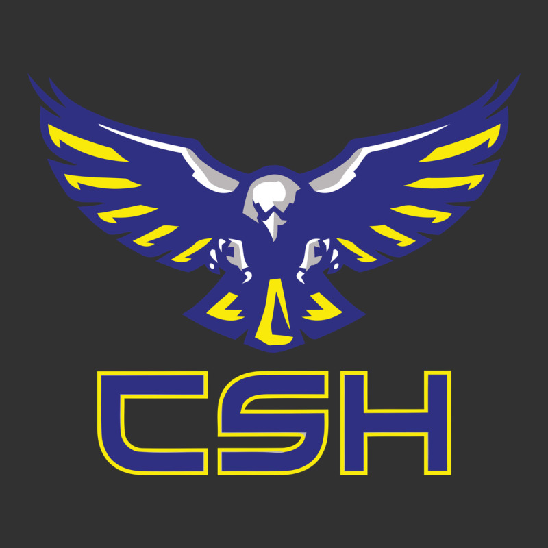 Cold Springs High School Urban Heavy Tee by linhVisuals | Teevron
