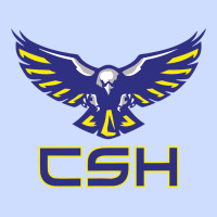 Cold Springs High School Urban Heavy Tee | Teevron