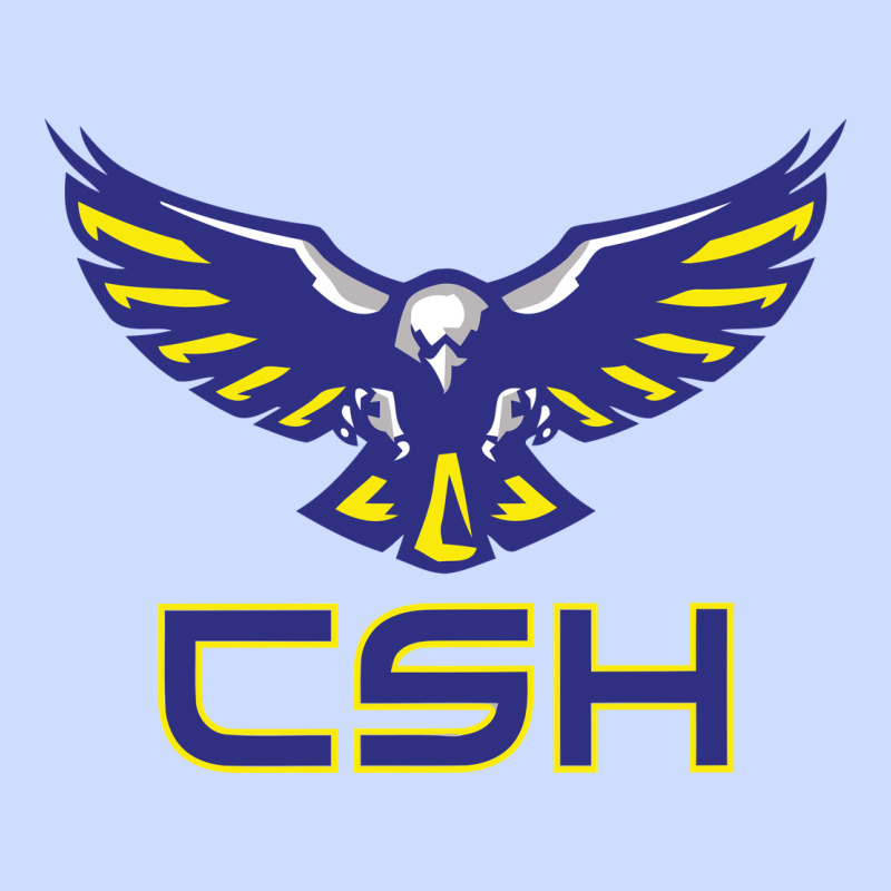 Cold Springs High School Urban Heavy Tee by linhVisuals | Teevron