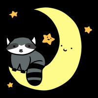 Crescent Moon Raccoon Urban Heavy Tee | Teevron