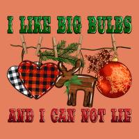 I Like Big Bulbs And I Can Not Lie Classic Tee | Teevron