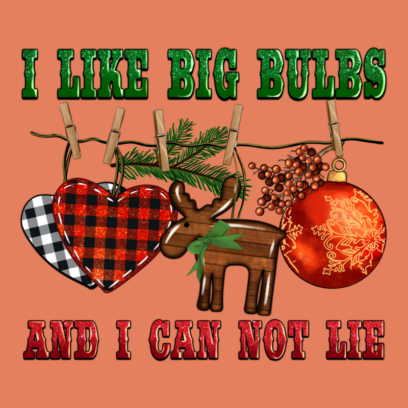 I Like Big Bulbs And I Can Not Lie Classic Tee by BarkalooDesign | Teevron