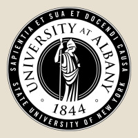 University Albany Suny Urban Heavy Tee | Teevron