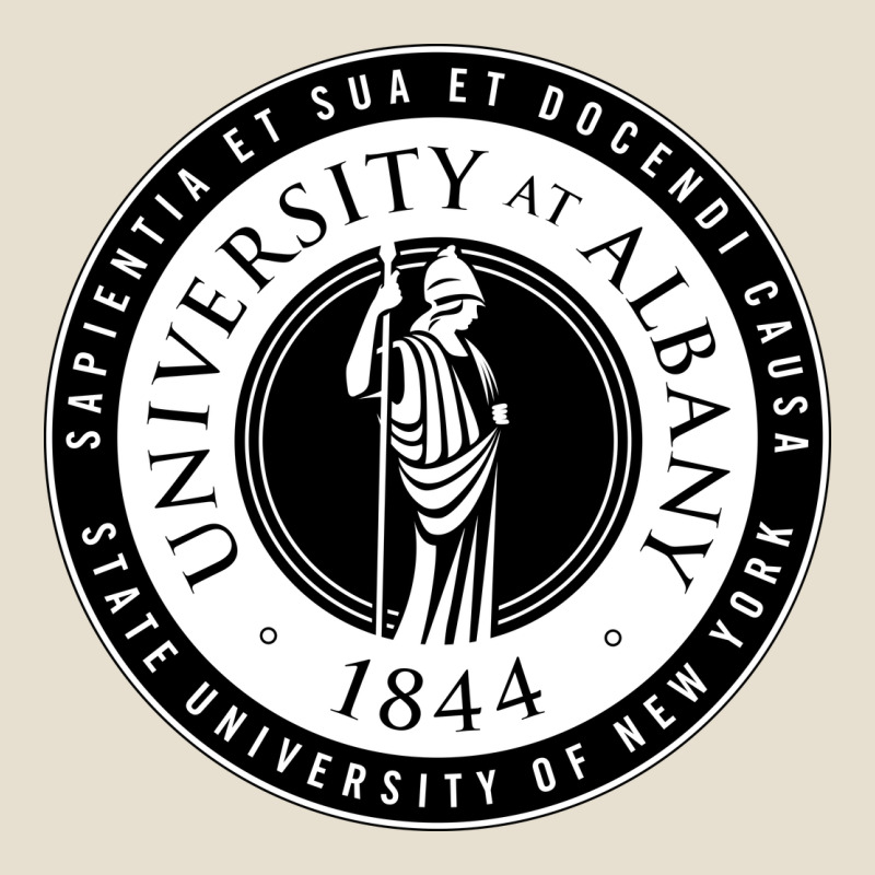 University Albany Suny Urban Heavy Tee by linhVisuals | Teevron
