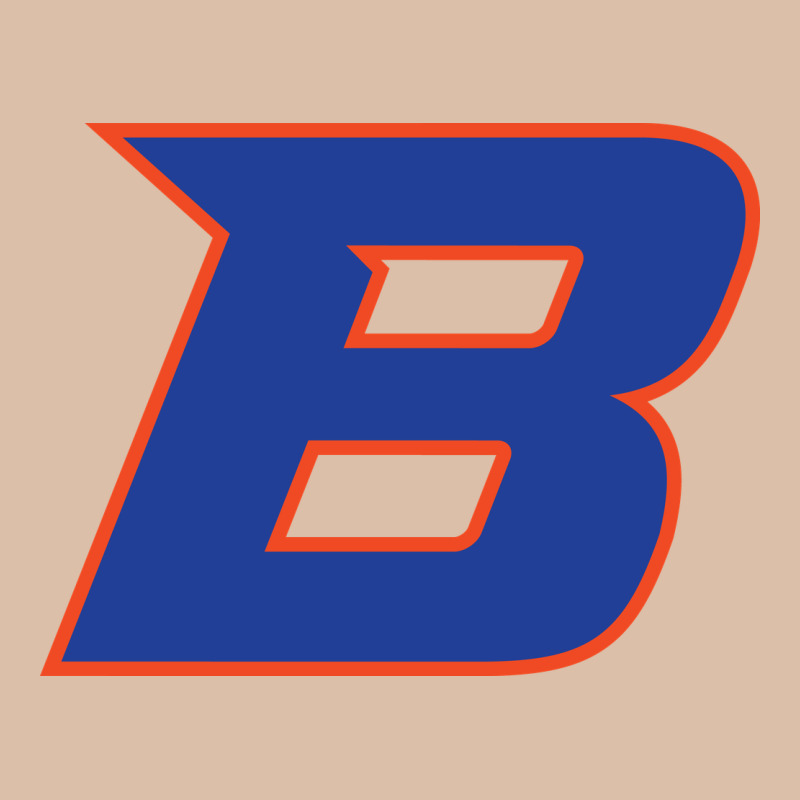 New-boise-state Urban Heavy Tee by linhVisuals | Teevron
