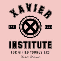 Xavier Institute Urban Heavy Tee | Teevron