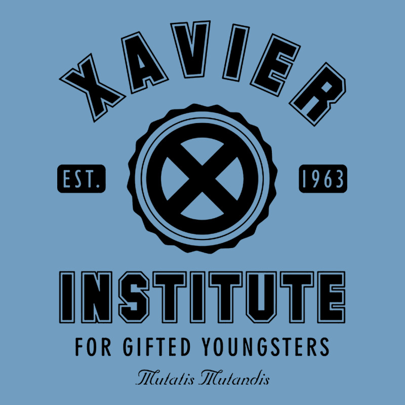 Xavier Institute Urban Heavy Tee by linhVisuals | Teevron