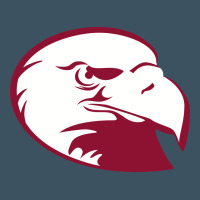 Lock Haven Bald Eagles Urban Heavy Tee | Teevron