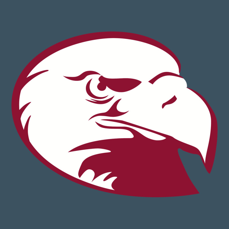 Lock Haven Bald Eagles Urban Heavy Tee by linhVisuals | Teevron